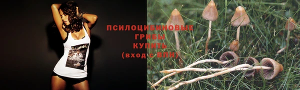 MESCALINE Арсеньев