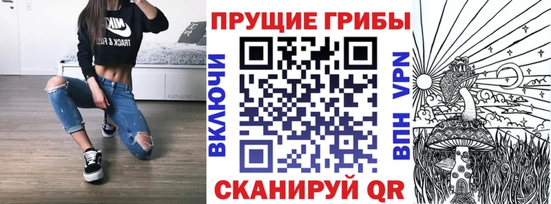 Псилоцибиновые грибы мухоморы  где продают наркотики  Волгоград 