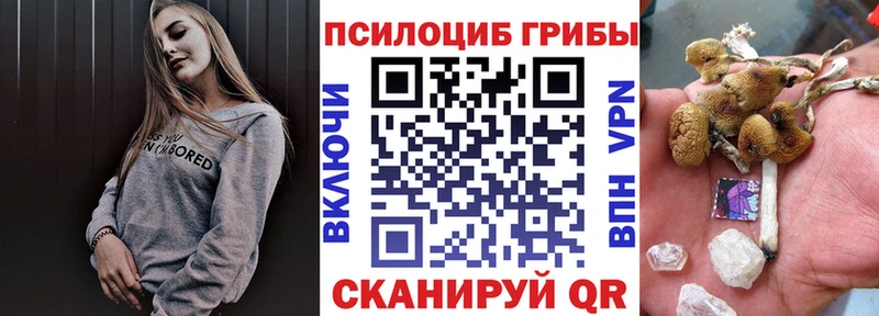 Псилоцибиновые грибы ЛСД Волгоград