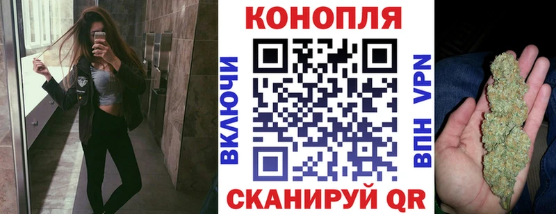 где продают наркотики  Волгоград  Шишки марихуана Amnesia 